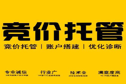 竞价排名优化策略案例分析